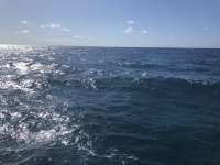 Great day of scuba diving in Key Largo with Rainbow Reef on spanish anchor tropical serenity 2021 05 02 r11058 1