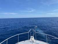 Great day of scuba diving in Key Largo with Rainbow Reef on spiegel grove santana 2021 05 01 r11053 1