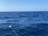 Great day of scuba diving in Key Largo with Rainbow Reef on spiegel grove tropical destiny 2021 05 05 r11072 1