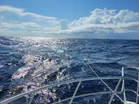 Great day of scuba diving in Key Largo with Rainbow Reef on uscgc duane tropical adventure 2021 05 09 r11096 1