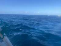 Great day of scuba diving in Key Largo with Rainbow Reef on winch hole tropical legend 2021 05 10 r11098 1