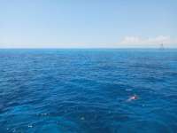 Great day of scuba diving in Key Largo with Rainbow Reef on winch hole tropical odyssey 2021 05 06 r11082 1