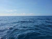Great day of scuba diving in Key Largo with Rainbow Reef on woodys tropical explorer 2021 05 01 r11044 1