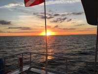 Great day of scuba diving in Key Largo with Rainbow Reef on benwood wreck tropical legend 2021 11 01 r11809 1
