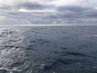 Great day of scuba diving in Key Largo with Rainbow Reef on benwood wreck tropical legend 2021 11 21 r11885 1