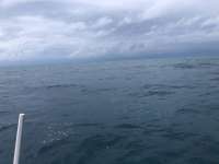 Great day of scuba diving in Key Largo with Rainbow Reef on benwood wreck tropical odyssey 2021 11 05 r11832 1
