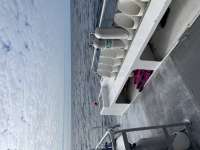 Great day of scuba diving in Key Largo with Rainbow Reef on benwood wreck tropical odyssey 2021 11 30 r11928 1
