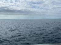 Great day of scuba diving in Key Largo with Rainbow Reef on christ statue tropical odyssey 2021 11 08 r11841 1
