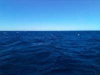 Great day of scuba diving in Key Largo with Rainbow Reef on christmastree cave tropical serenity 2021 11 07 r11836 2