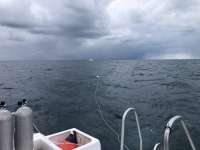 Great day of scuba diving in Key Largo with Rainbow Reef on eagle ray alley tropical serenity 2021 11 04 r11827 1