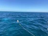 Great day of scuba diving in Key Largo with Rainbow Reef on molasses reef tropical adventure 2021 11 08 r11840 1