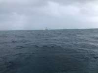 Great day of scuba diving in Key Largo with Rainbow Reef on molasses reef tropical adventure 2021 11 20 r11882 1