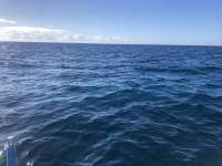 Great day of scuba diving in Key Largo with Rainbow Reef on molasses reef tropical adventure 2021 11 26 r11909 1