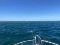 Great day of scuba diving in Key Largo with Rainbow Reef on molasses reef tropical serenity 2021 11 23 r11896 1