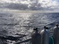 Great day of scuba diving in Key Largo with Rainbow Reef on permit ledges tropical adventure 2021 11 09 r11843 1