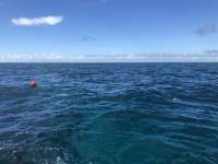 Great day of scuba diving in Key Largo with Rainbow Reef on pickles reef tropical legend 2021 11 21 r11886 1