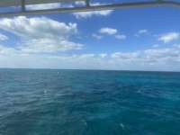 Great day of scuba diving in Key Largo with Rainbow Reef on sand island tropical odyssey 2021 11 09 r11845 1