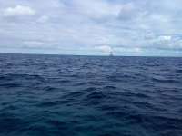 Great day of scuba diving in Key Largo with Rainbow Reef on spanish anchor tropical legend 2021 11 03 r11824 1