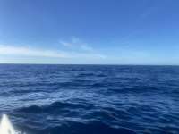 Great day of scuba diving in Key Largo with Rainbow Reef on spiegel grove tropical explorer 2021 11 27 r11916 1