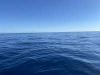 Great day of scuba diving in Key Largo with Rainbow Reef on spiegel grove tropical explorer 2021 11 27 r11920 1