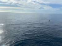 Great day of scuba diving in Key Largo with Rainbow Reef on spiegel grove tropical serenity 2021 11 19 r11873 1