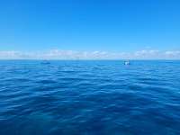 Great day of scuba diving in Key Largo with Rainbow Reef on winch hole tropical legend 2021 11 27 r11922 1