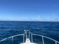 Great day of scuba diving in Key Largo with Rainbow Reef on woodys tropical serenity 2021 11 10 r11850 1