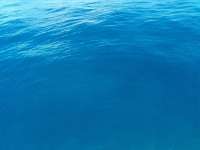 Great day of scuba diving in Key Largo with Rainbow Reef on benwood wreck tropical legend 2021 10 09 r11699 1