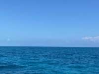 Great day of scuba diving in Key Largo with Rainbow Reef on christ statue tropical serenity 2021 10 14 r11731 1