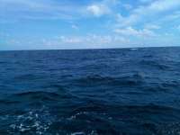 Great day of scuba diving in Key Largo with Rainbow Reef on christ statue tropical serenity 2021 10 28 r11795 1