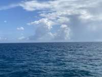 Great day of scuba diving in Key Largo with Rainbow Reef on city of washington tropical odyssey 2021 10 26 r11779 1