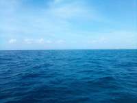 Great day of scuba diving in Key Largo with Rainbow Reef on conch pillars tropical legend 2021 10 08 r11694 1