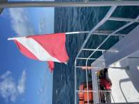 Great day of scuba diving in Key Largo with Rainbow Reef on eagle ray alley tropical serenity 2021 10 18 r11743 1