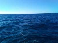 Great day of scuba diving in Key Largo with Rainbow Reef on eagle ray alley tropical serenity 2021 10 31 r11804 1