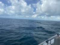 Great day of scuba diving in Key Largo with Rainbow Reef on french reef tropical odyssey 2021 10 01 r11674 1