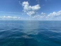 Great day of scuba diving in Key Largo with Rainbow Reef on french reef tropical serenity 2021 10 16 r11739 1