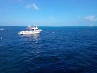 Great day of scuba diving in Key Largo with Rainbow Reef on molasses reef tropical legend 2021 10 14 r11728 1