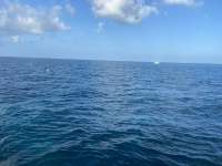 Great day of scuba diving in Key Largo with Rainbow Reef on molasses reef tropical serenity 2021 10 14 r11727 1