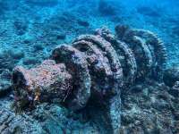 Great day of scuba diving in Key Largo with Rainbow Reef on north star tropical destiny 2021 10 27 r11787 1