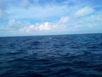 Great day of scuba diving in Key Largo with Rainbow Reef on north star tropical serenity 2021 10 28 r11794 1