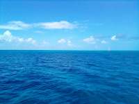 Great day of scuba diving in Key Largo with Rainbow Reef on permit ledges tropical legend 2021 10 14 r11729 3