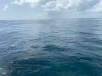 Great day of scuba diving in Key Largo with Rainbow Reef on permit ledges tropical serenity 2021 10 09 r11698 1