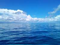 Great day of scuba diving in Key Largo with Rainbow Reef on pickles reef tropical legend 2021 10 15 r11735 1