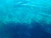 Great day of scuba diving in Key Largo with Rainbow Reef on pickles reef tropical legend 2021 10 15 r11735 3