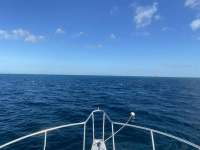 Great day of scuba diving in Key Largo with Rainbow Reef on spanish anchor tropical serenity 2021 10 10 r11702 1