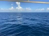 Great day of scuba diving in Key Largo with Rainbow Reef on spiegel grove tropical odyssey 2021 10 26 r11775 1