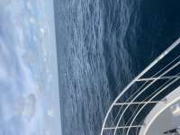 Great day of scuba diving in Key Largo with Rainbow Reef on spiegel grove tropical odyssey 2021 10 28 r11792 1