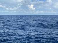 Great day of scuba diving in Key Largo with Rainbow Reef on spiegel grove tropical serenity 2021 10 11 r11710 1