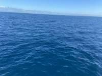 Great day of scuba diving in Key Largo with Rainbow Reef on spiegel grove tropical serenity 2021 10 27 r11781 1