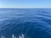 Great day of scuba diving in Key Largo with Rainbow Reef on uscgc duane tropical destiny 2021 10 17 r11741 1